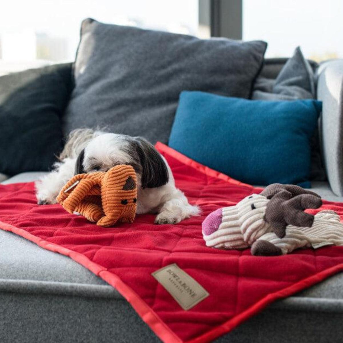 Doudou pour chien en tissu en forme d'animaux (lot de 3) - Kasibe