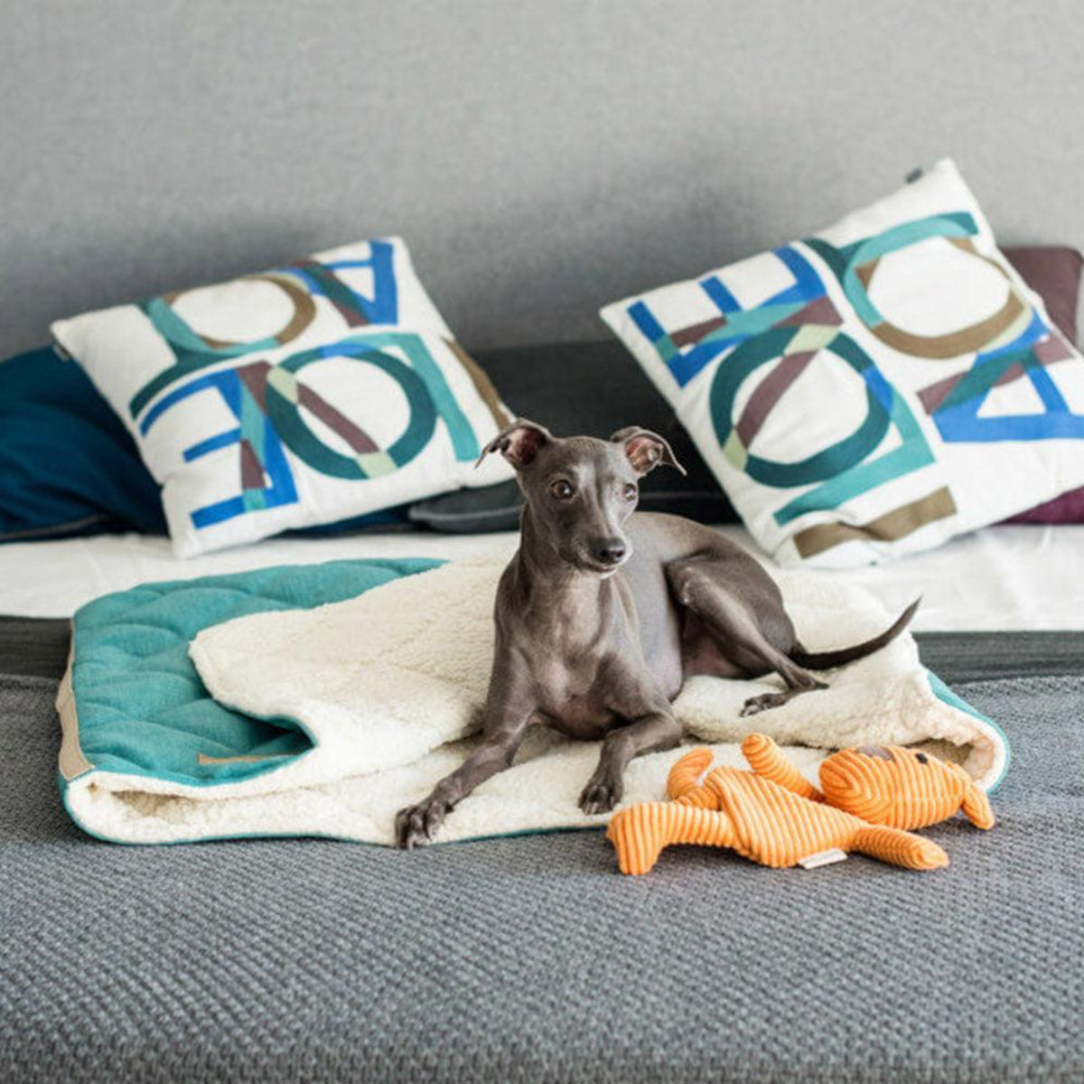 Doudou pour chien en tissu en forme d'animaux (lot de 3) - Kasibe