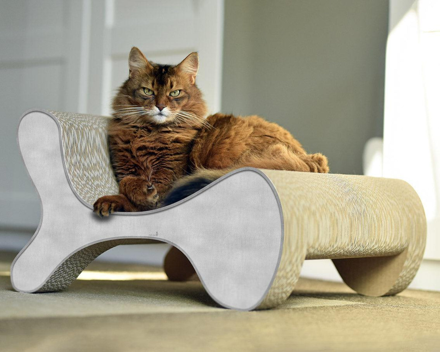 Fauteuil pour chat - MOLECULAR FAUTEUIL - Kasibe