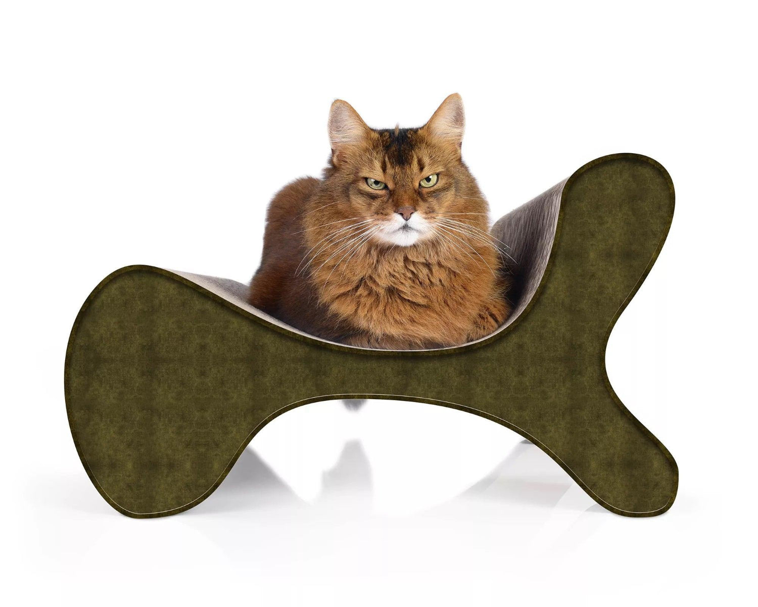 Fauteuil pour chat - MOLECULAR FAUTEUIL - Kasibe