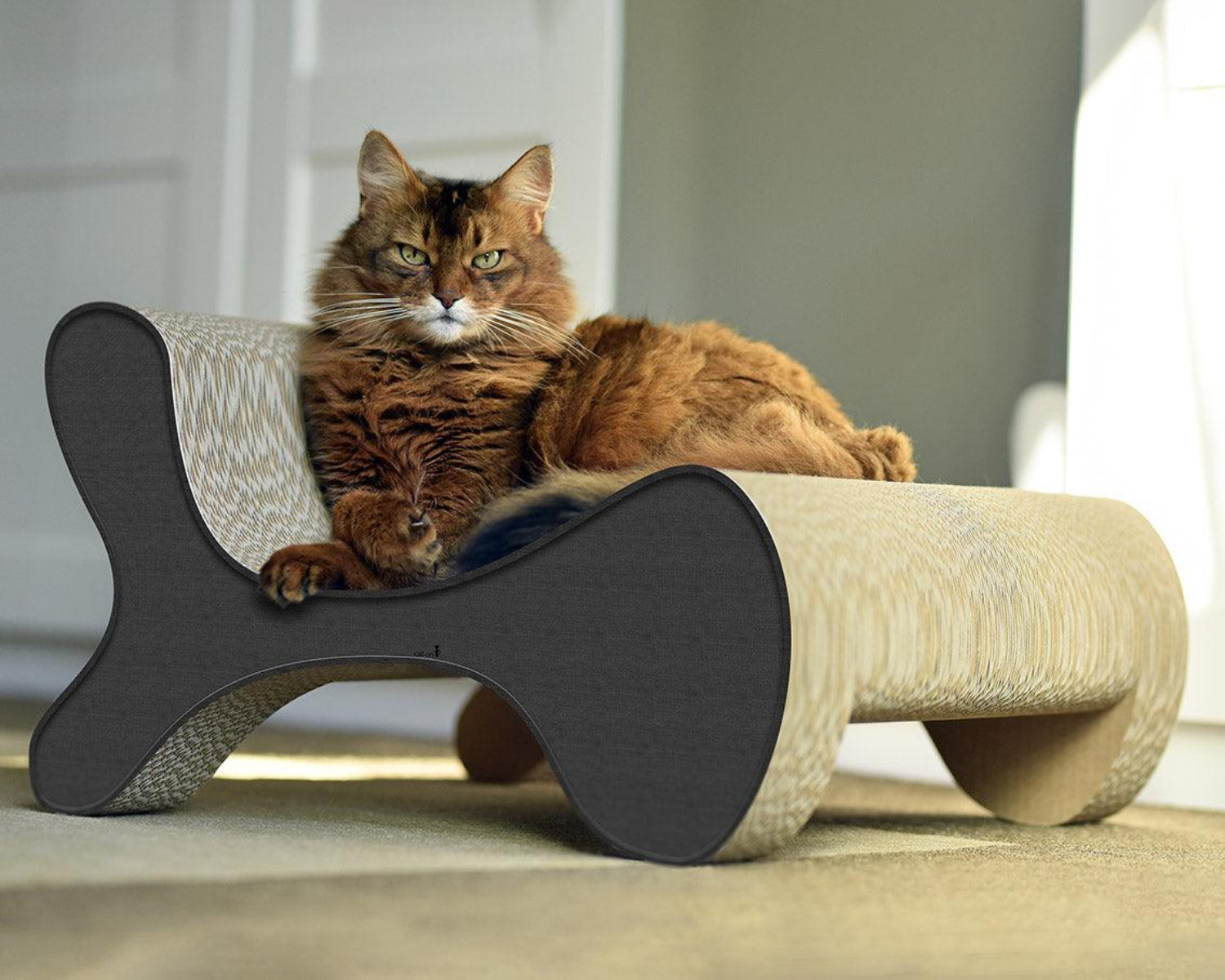 Fauteuil pour chat - MOLECULAR FAUTEUIL - Kasibe