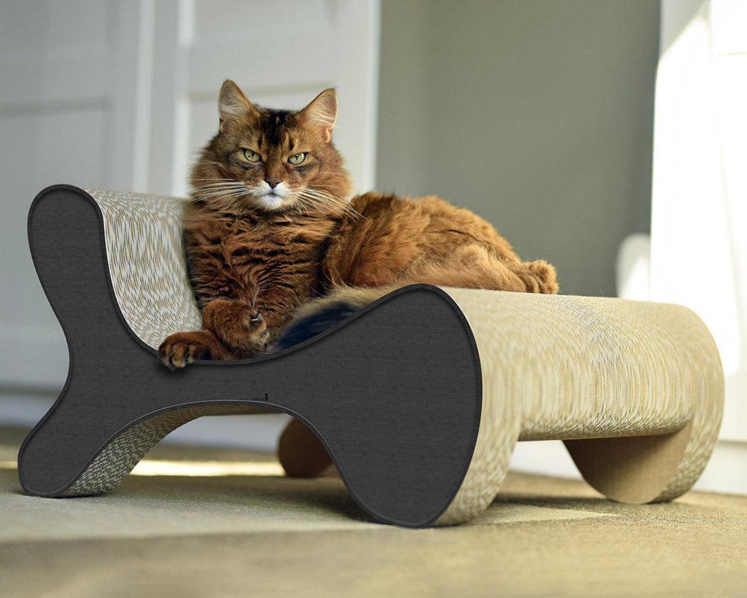 Fauteuil pour chat - MOLECULAR FAUTEUIL - Kasibe