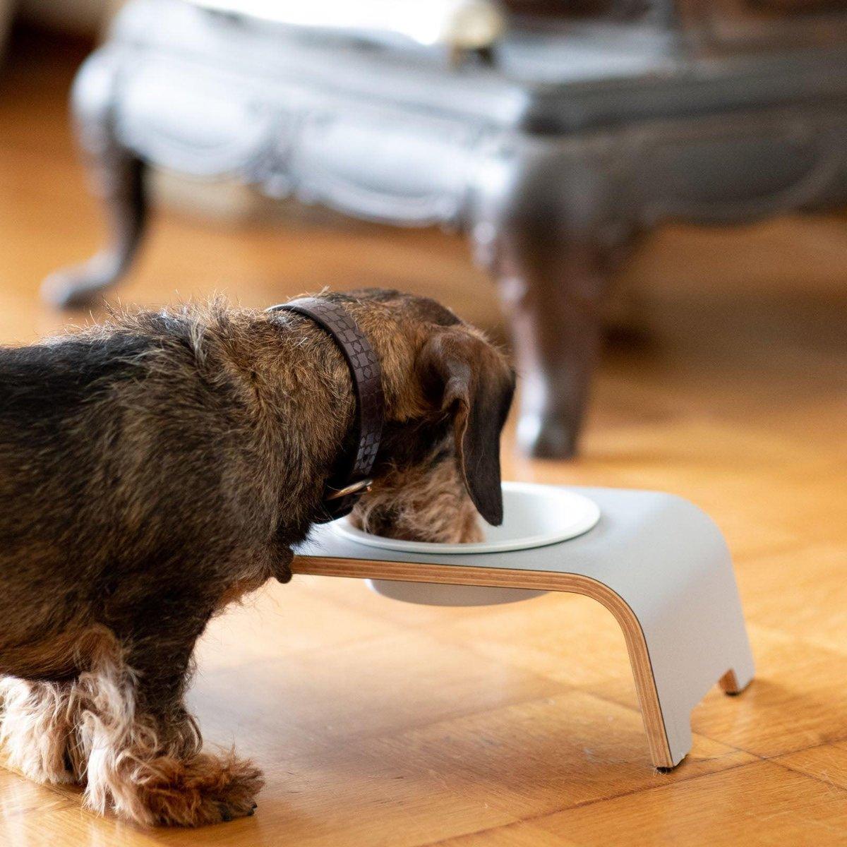 Gamelle design pour chien en bois dogBar single - kasibe