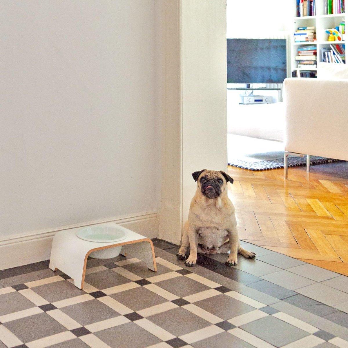 Gamelle design pour chien en bois dogBar single - kasibe