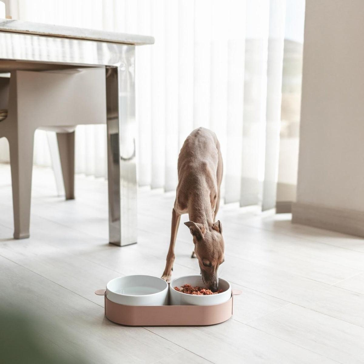 Gamelle pour chien design double bol sur plateau aluminum Tavoletta kasibe miacara