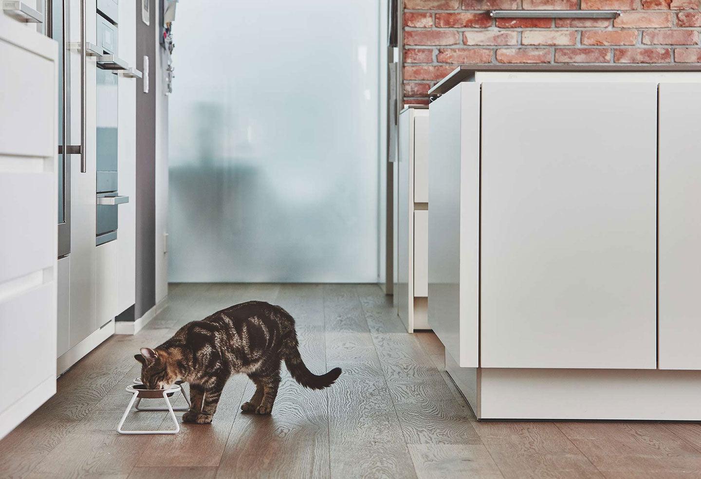 Gamelle design pour chat surélevée en structure en fil Cena - kasibe