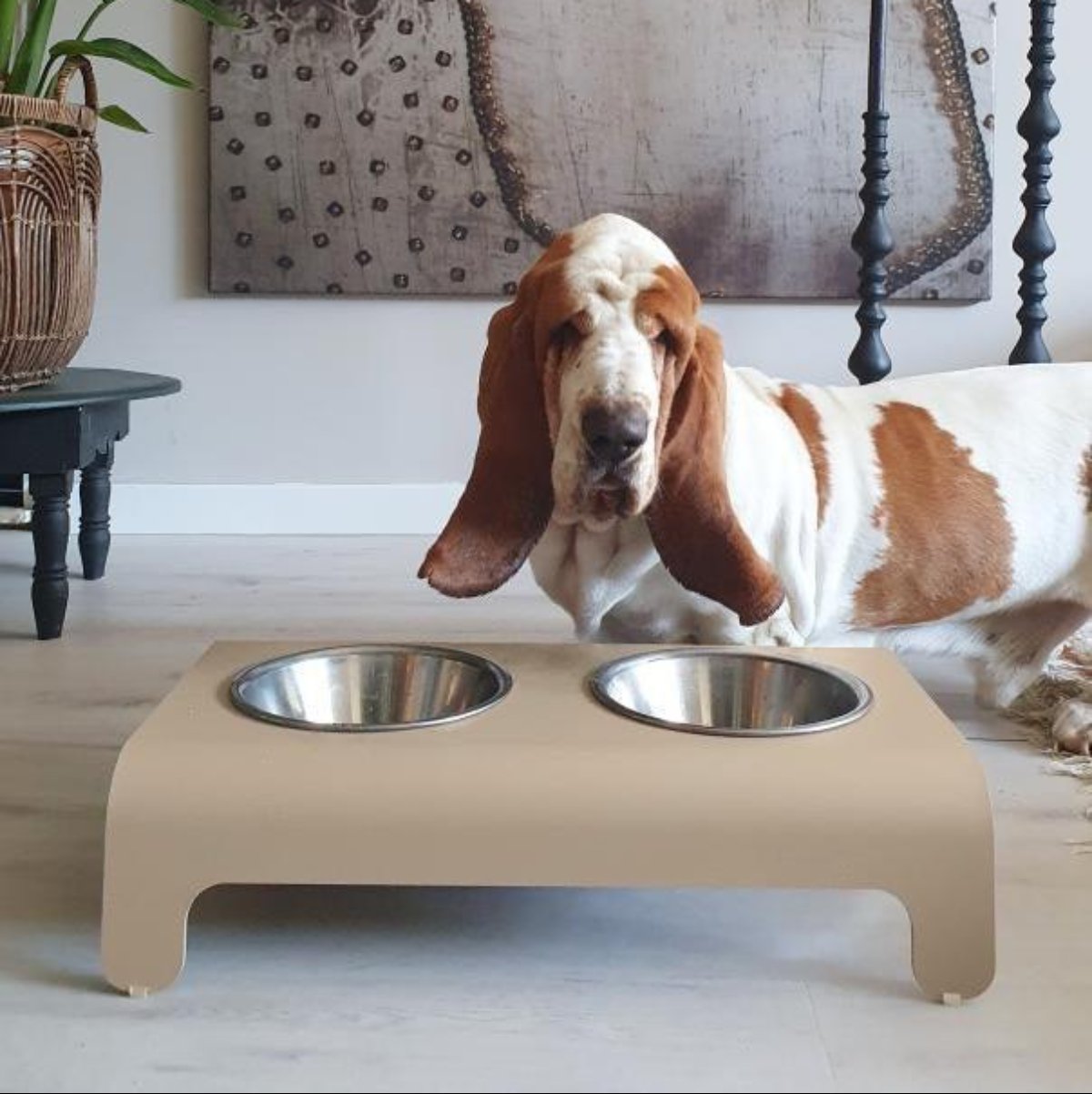 Gamelle design pour chien et chat - RICO - Kasibe