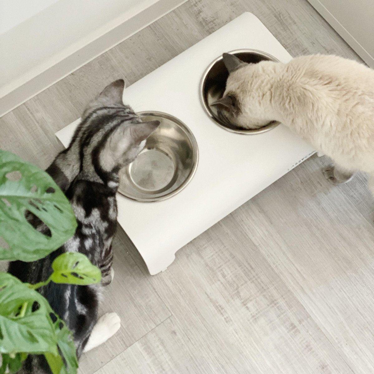 Gamelle design pour chien et chat - RICO - Kasibe