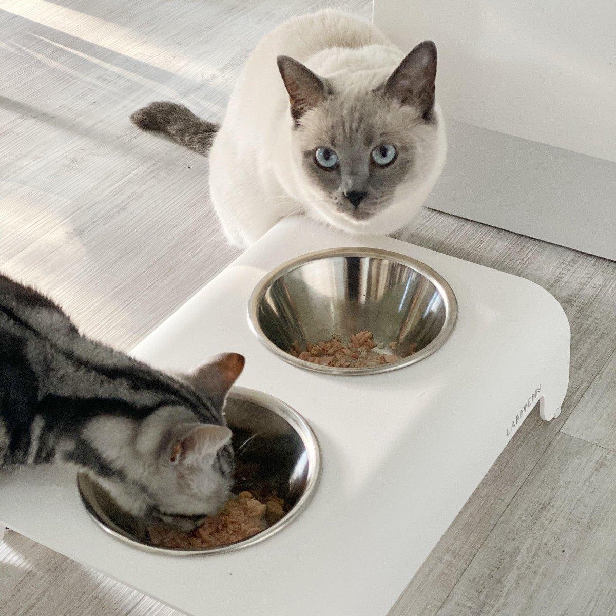 Gamelle design pour chien et chat - RICO - Kasibe