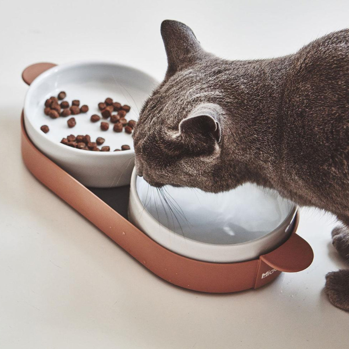 Gamelle double pour chat - TAVOLETTA - Kasibe