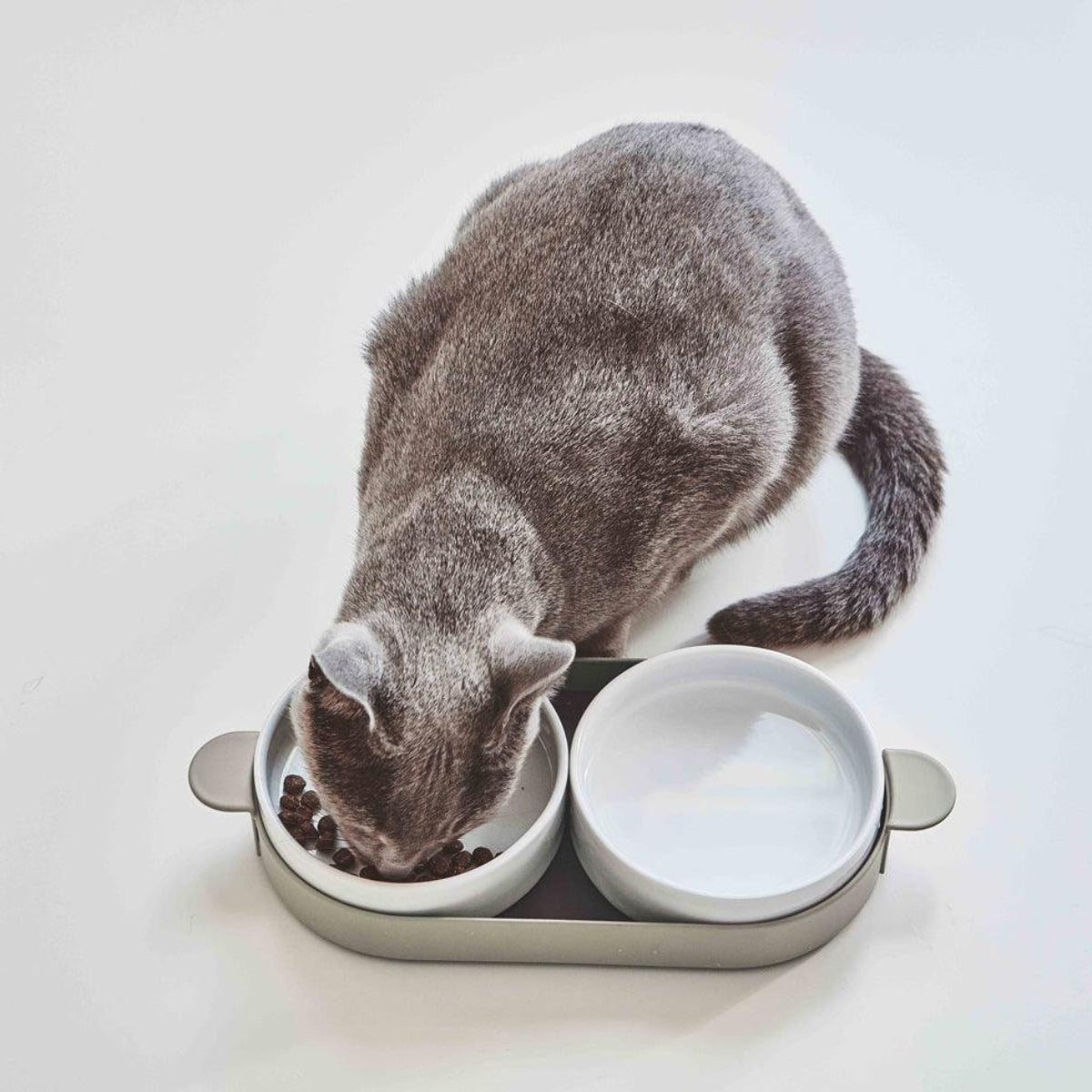 Gamelle double pour chat - TAVOLETTA - Kasibe