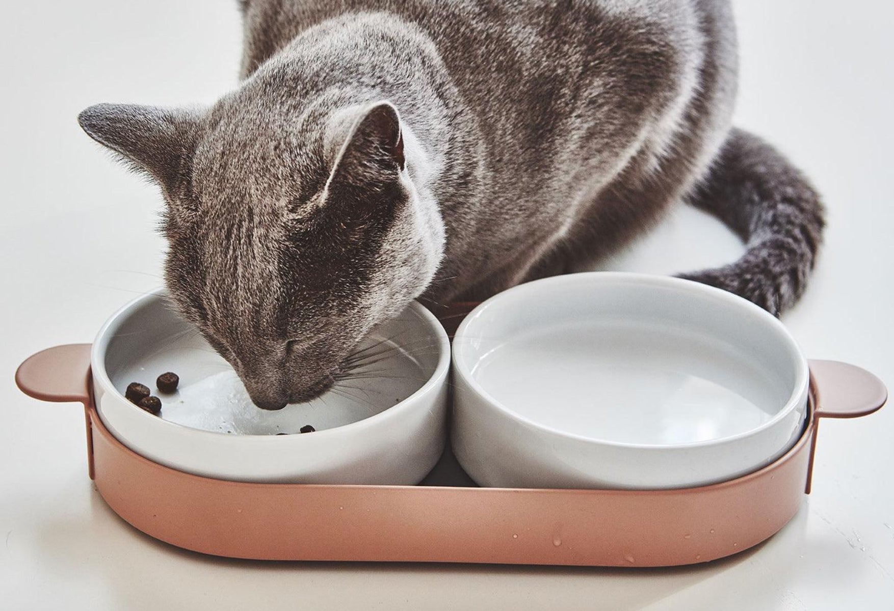 Gamelle double pour chat - TAVOLETTA - Kasibe