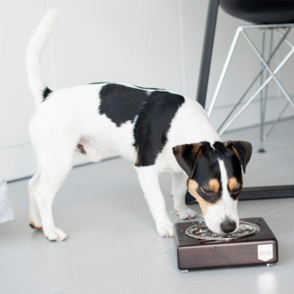 Gamelle en bois pour chien - SOLO - Kasibe