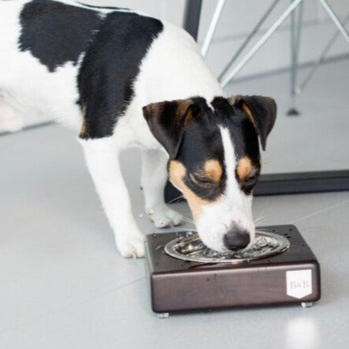 Gamelle en bois pour chien - SOLO - Kasibe