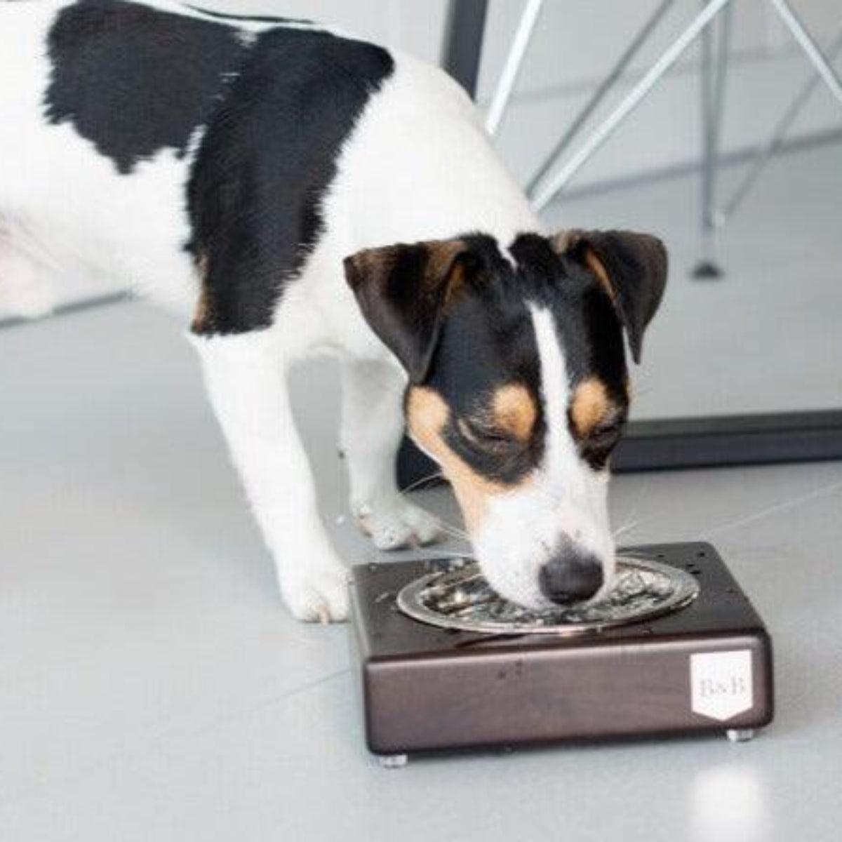 Gamelle en bois pour chien - SOLO - Kasibe