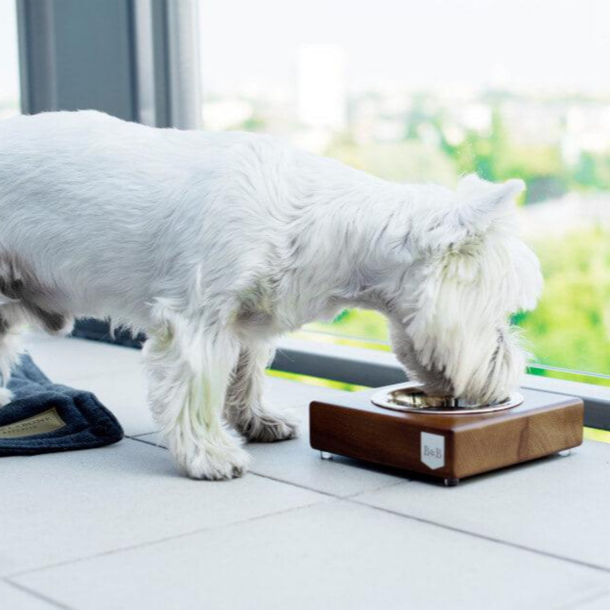 Gamelle en bois pour chien - SOLO - Kasibe