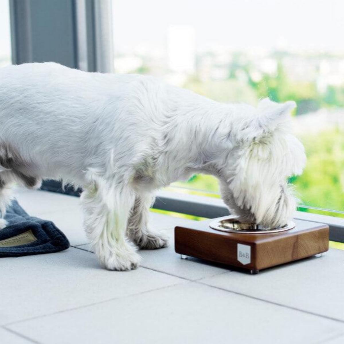 Gamelle en bois pour chien - SOLO - Kasibe
