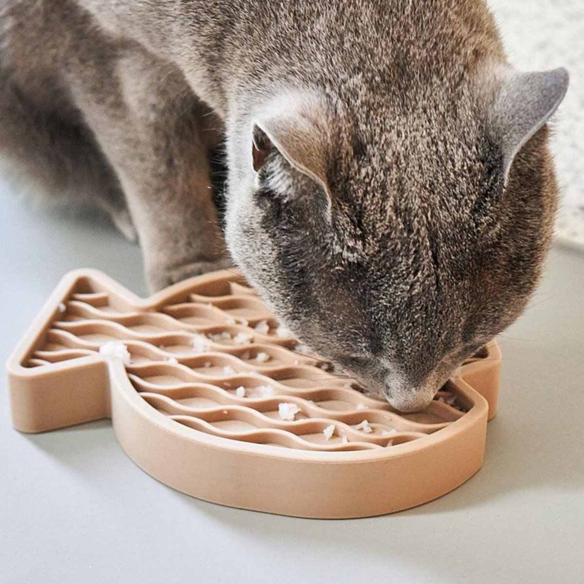 Gamelle ludique pour chat - PESCE - Kasibe