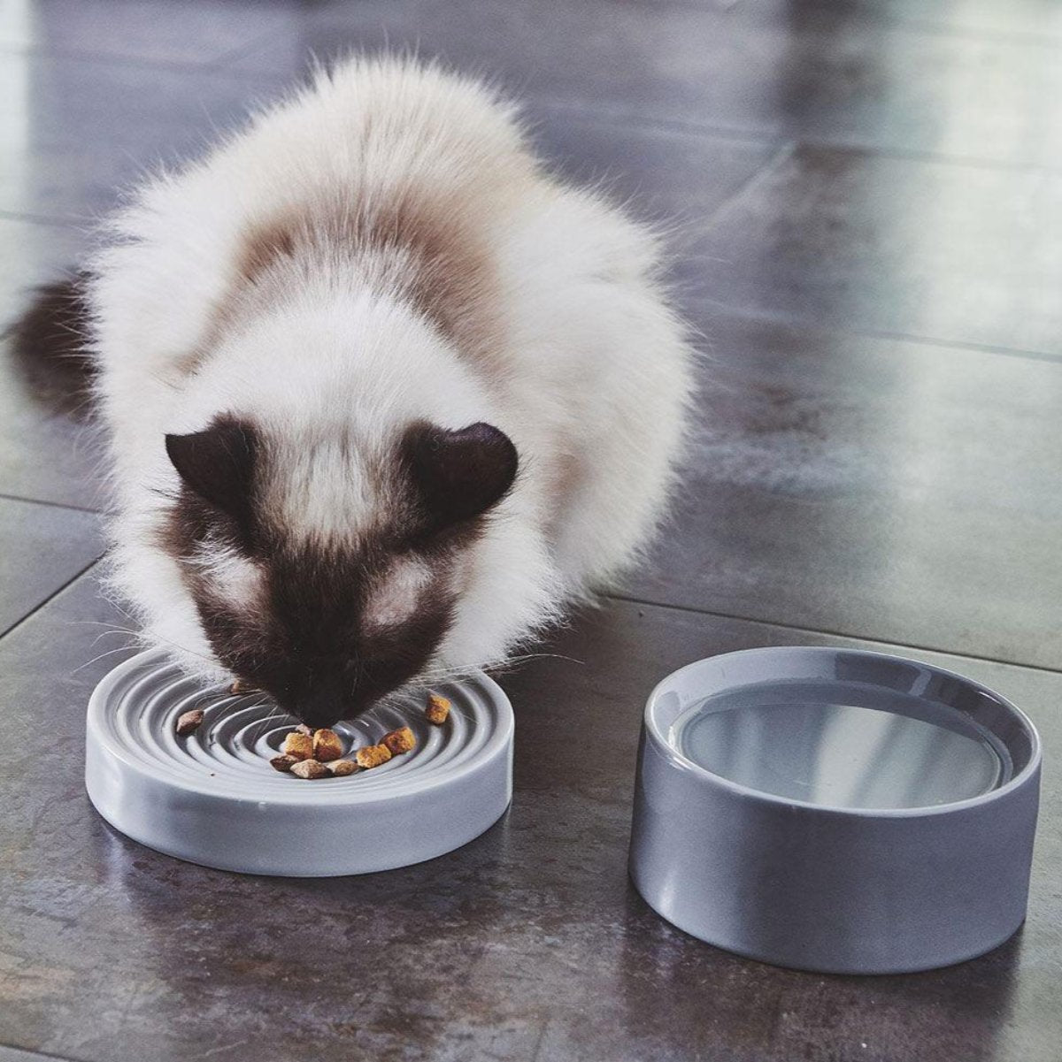 Gamelle pour chat anti glouton - PIATTO - Kasibe