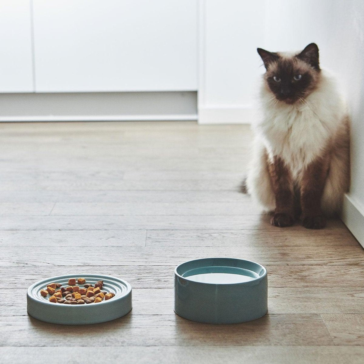 Gamelle pour chat anti glouton - PIATTO - Kasibe