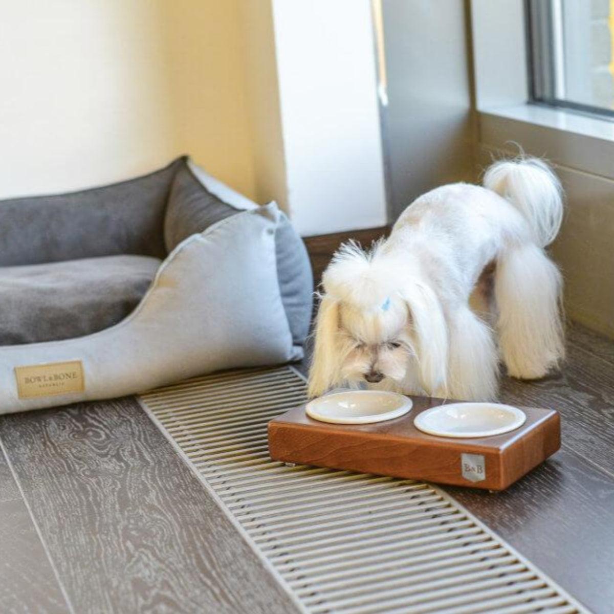 Gamelle pour chien élégante - DUO - Kasibe