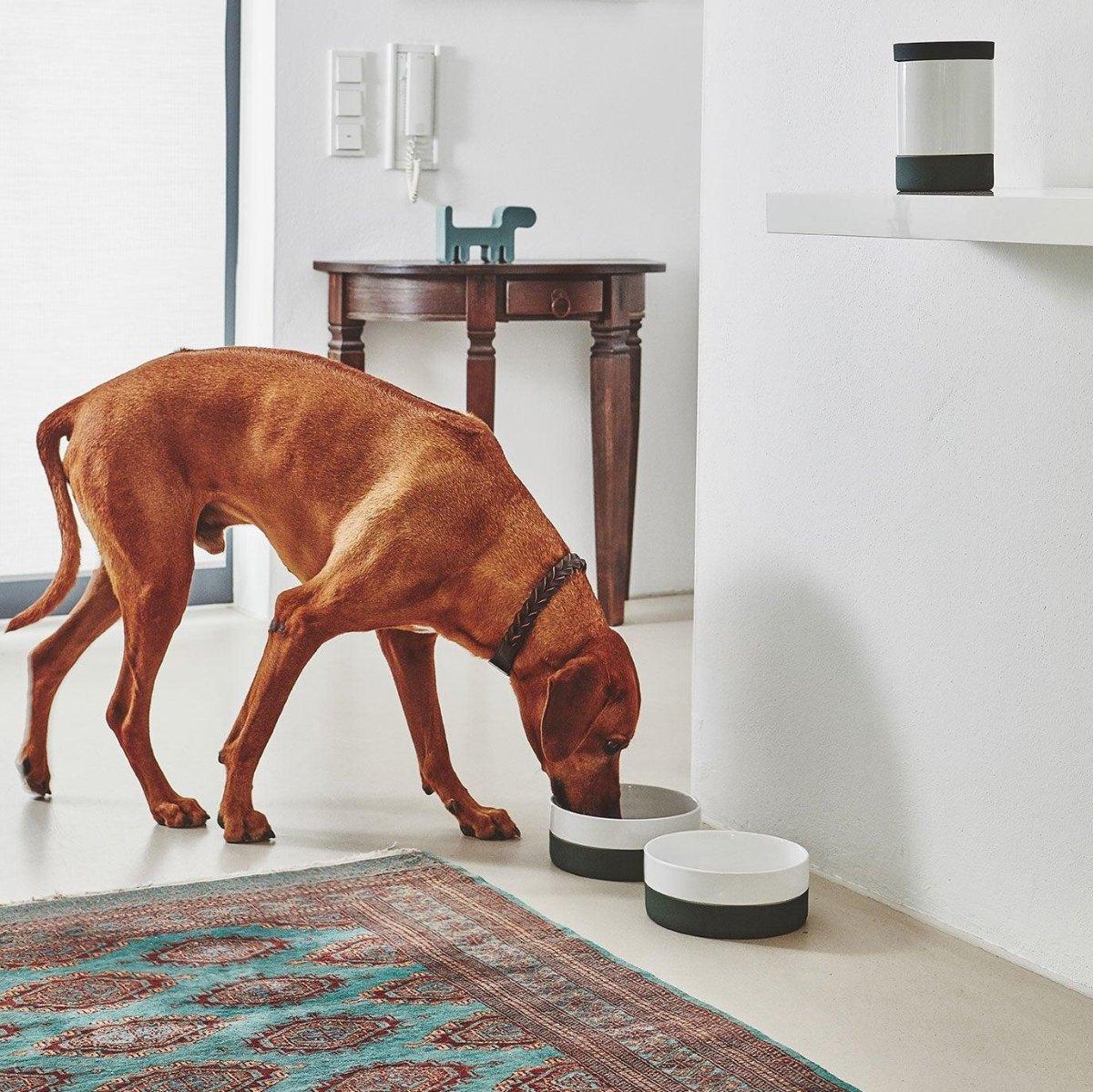 Gamelle pour chien en porcelaine - COPPA - Kasibe