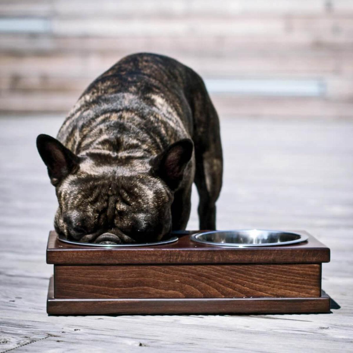 Gamelle pour chien originale - GRANDE - Kasibe