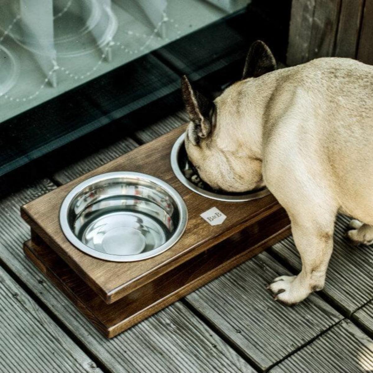 Gamelle pour chien originale - GRANDE - Kasibe