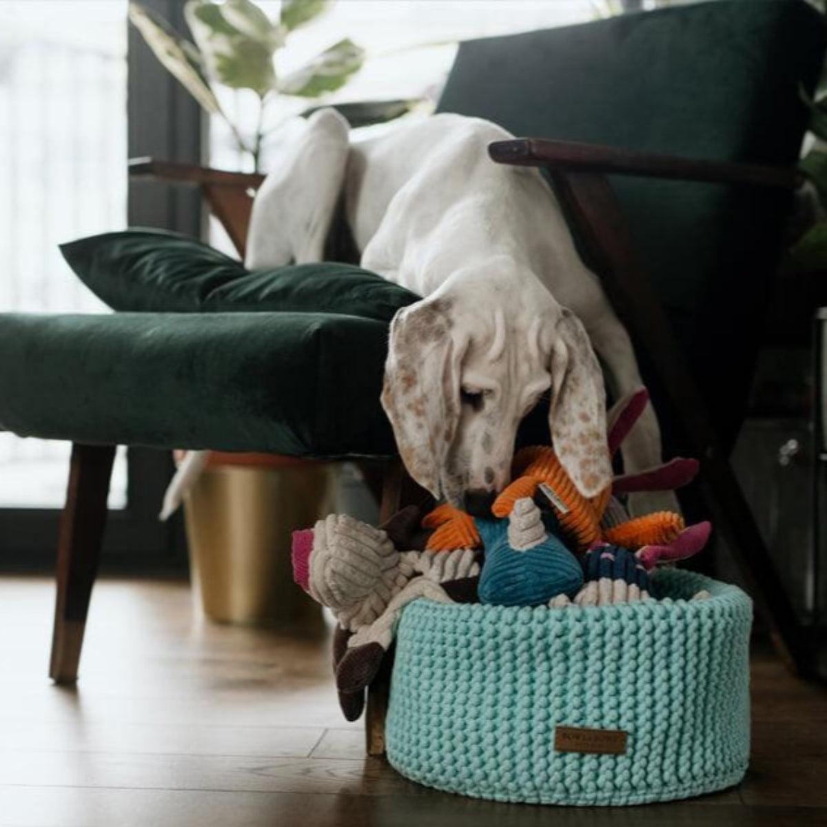 Grand panier de rangement pour doudou pour chien - DOUBLE - Kasibe