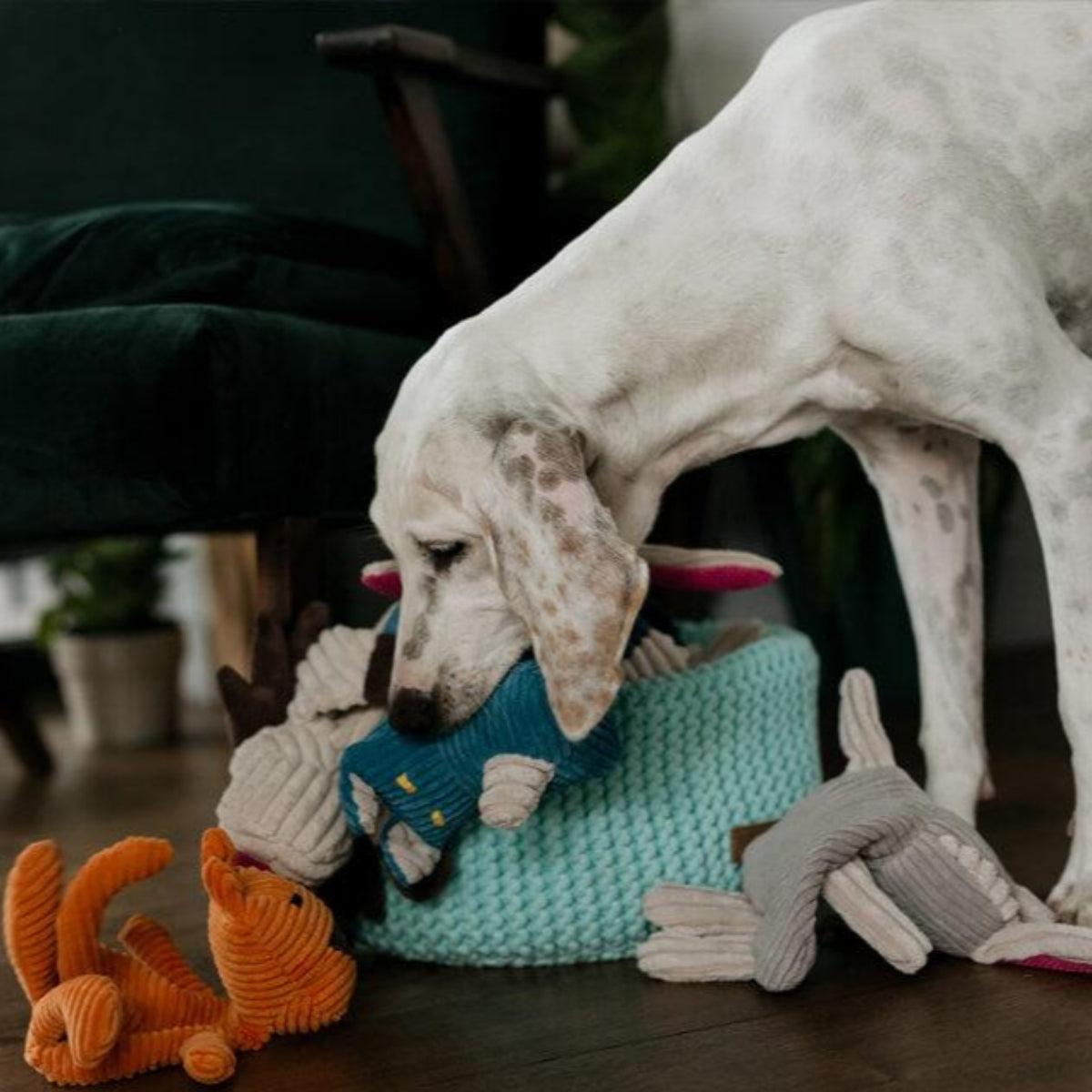 Grand panier de rangement pour doudou pour chien - DOUBLE - Kasibe