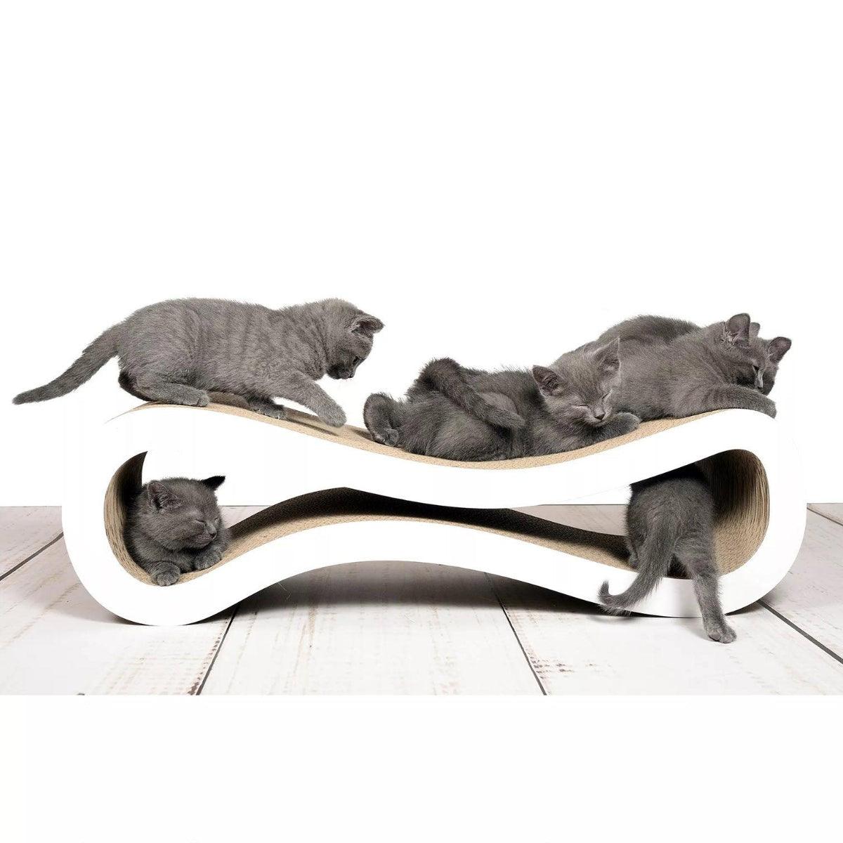 Griffoir ludique pour chat - LE CAT RACER - Kasibe