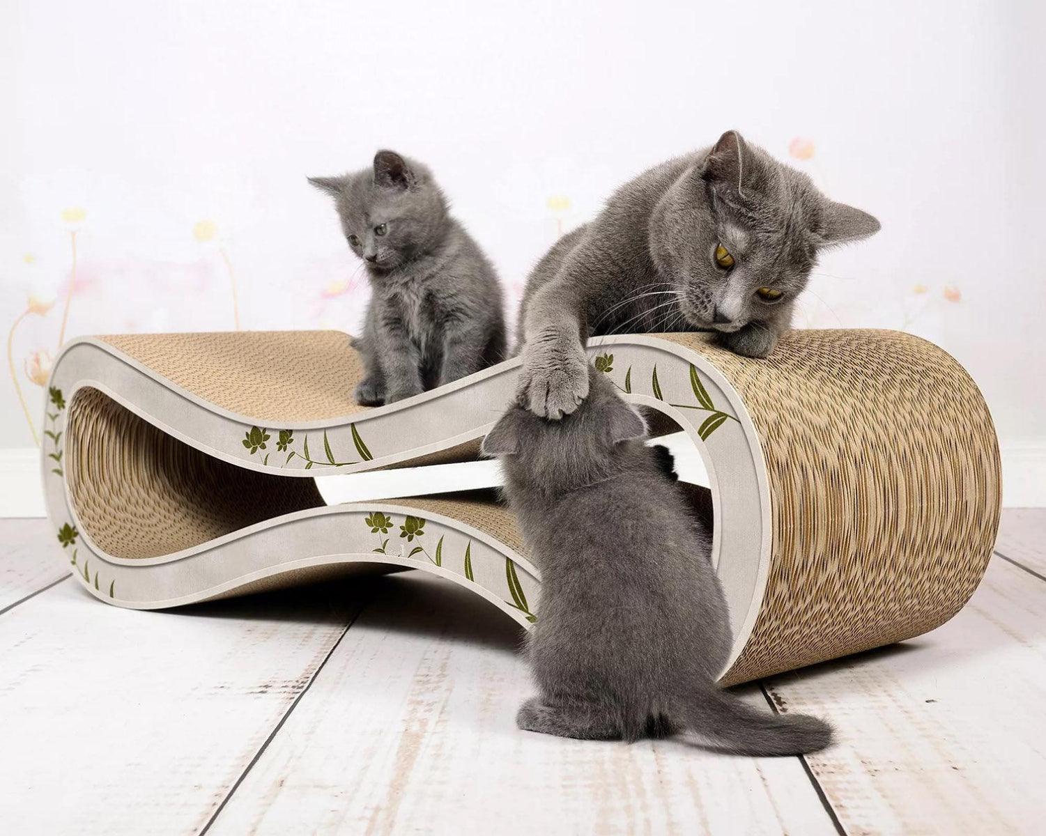 Griffoir ludique pour chat - LE CAT RACER - Kasibe