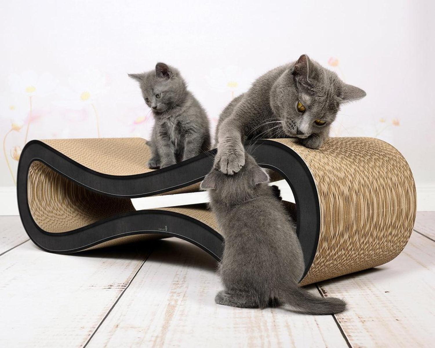 Griffoir ludique pour chat - LE CAT RACER - Kasibe