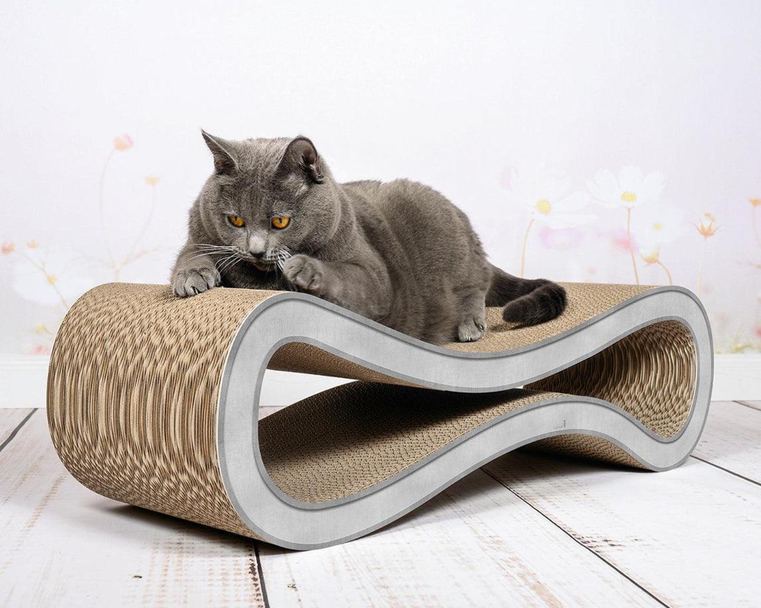 Griffoir ludique pour chat - LE CAT RACER - Kasibe