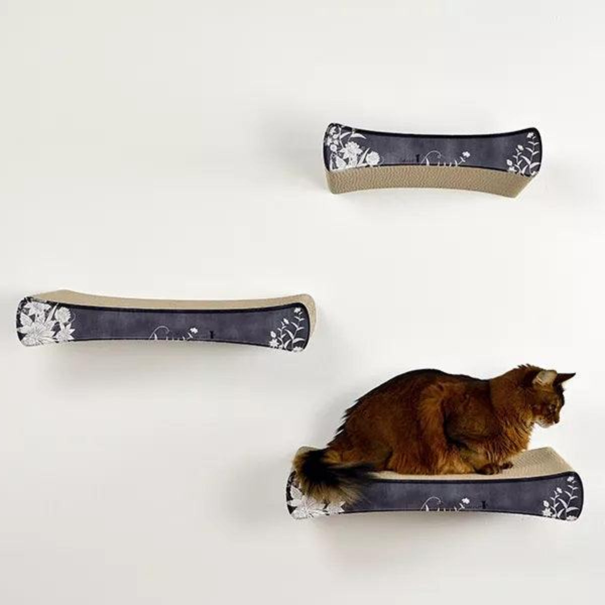 Griffoir mural pour chat - LE PLATEAU - Kasibe