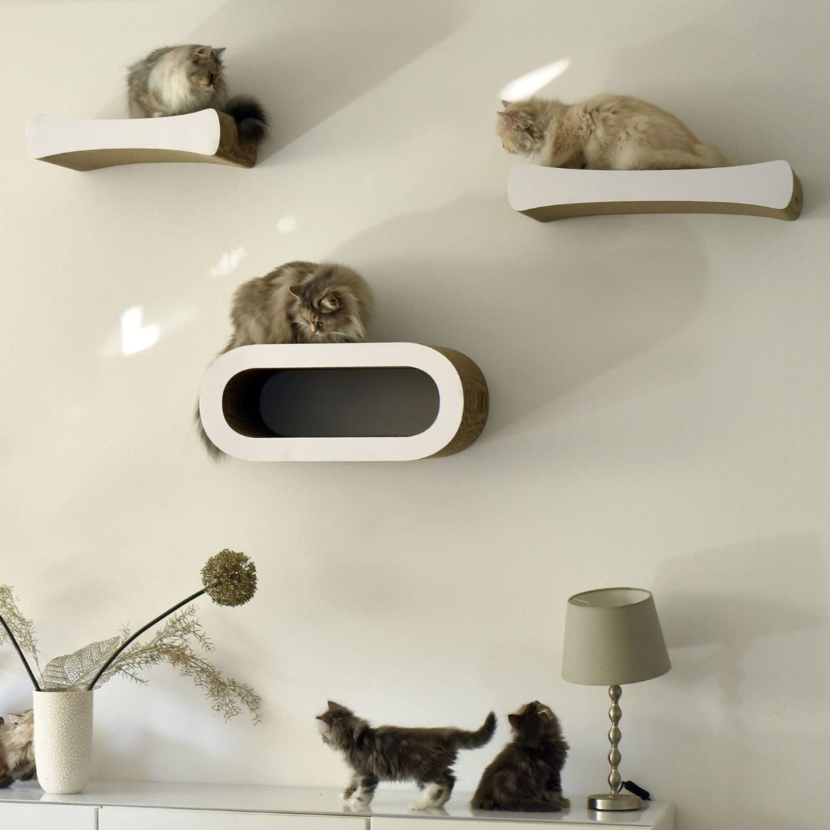 Griffoir mural pour chat - LE PLATEAU - Kasibe