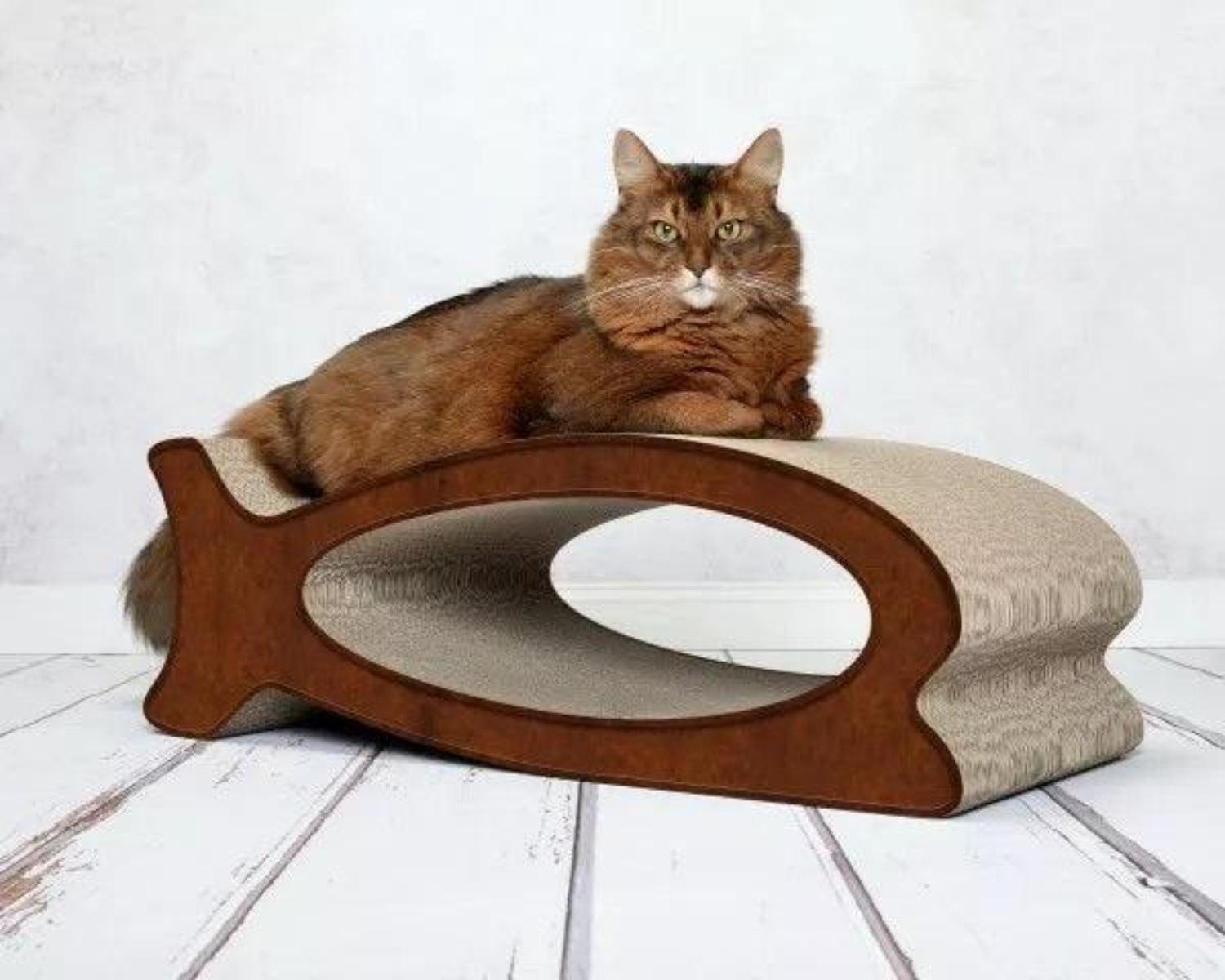 Griffoir original pour chat - LE FISH - Kasibe