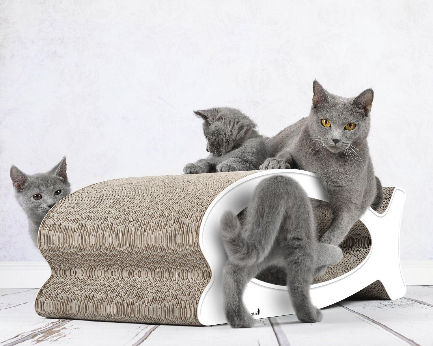 Griffoir original pour chat - LE FISH - Kasibe