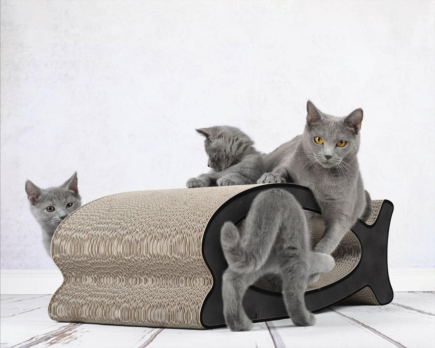 Griffoir original pour chat - LE FISH - Kasibe