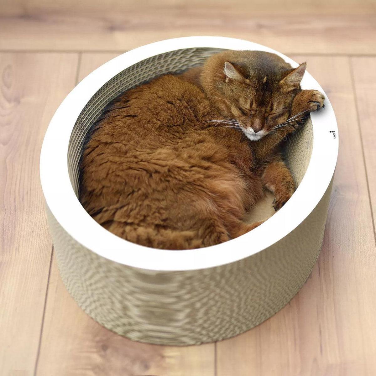 Griffoir panier pour chat - LOVALE - Kasibe