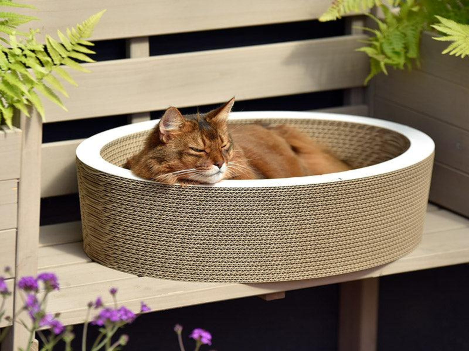Griffoir panier pour chat - LOVALE - Kasibe