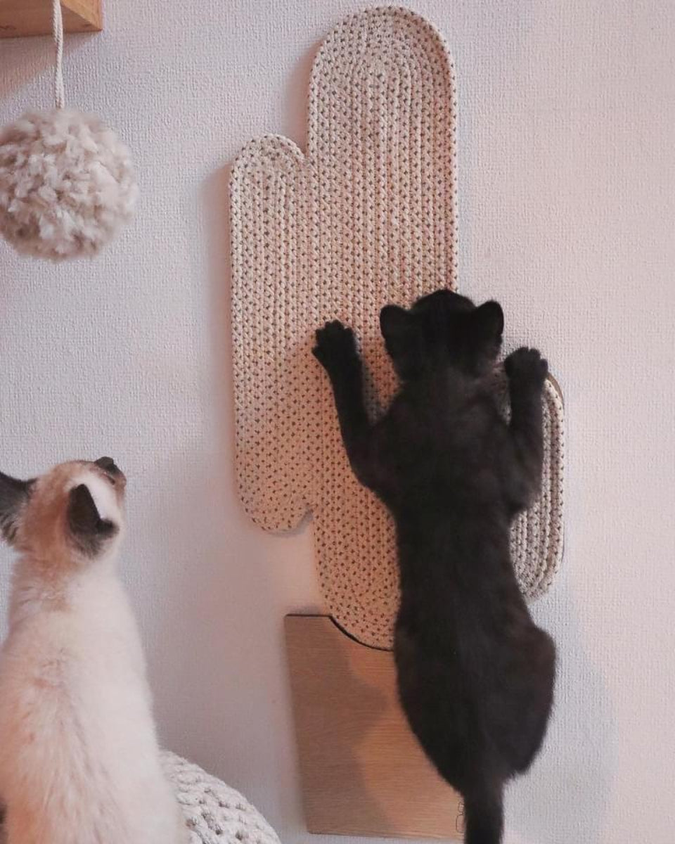 Griffoir pour chat cactus - VEGAS - Kasibe