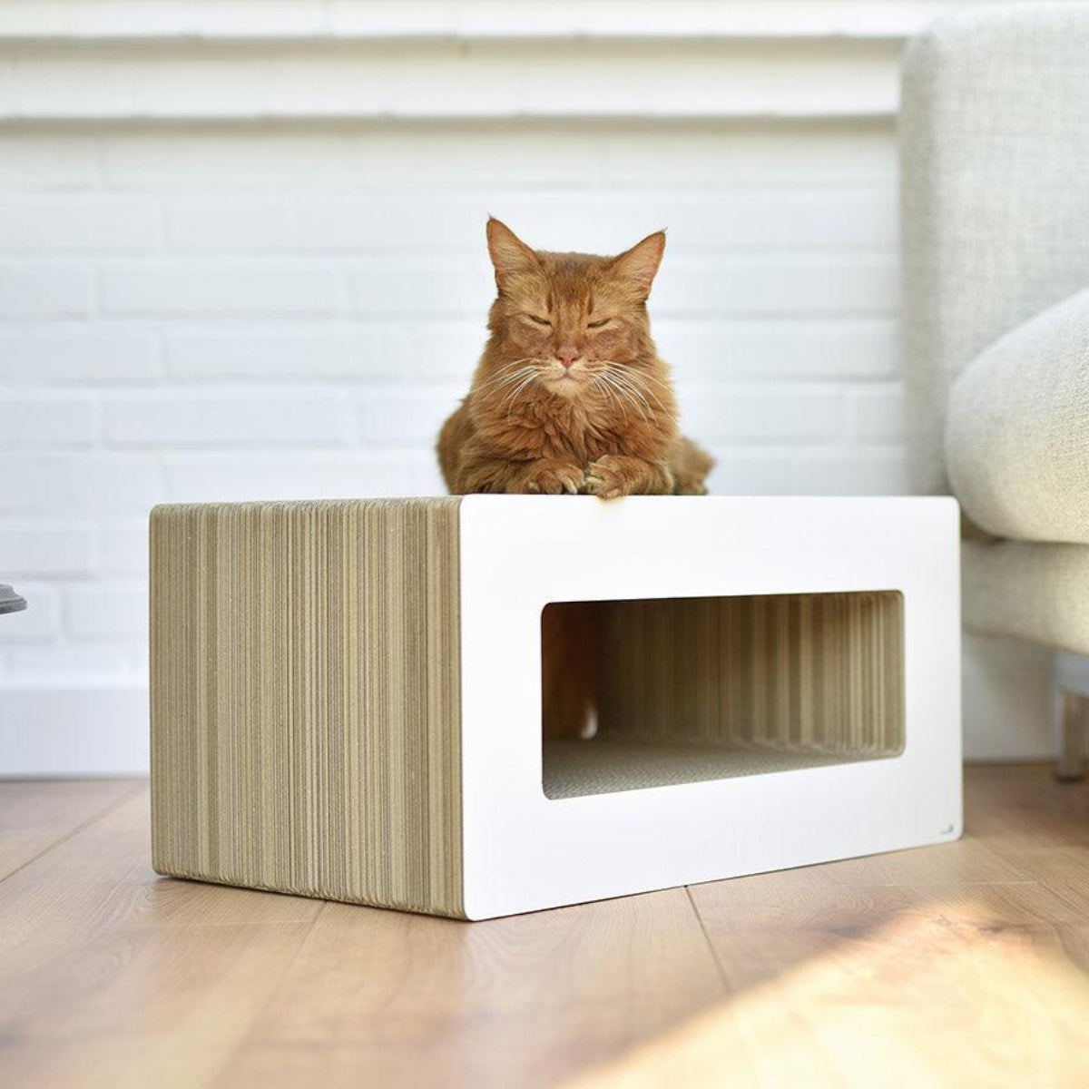 Griffoir pour chat déco - LE LOOP - Kasibe