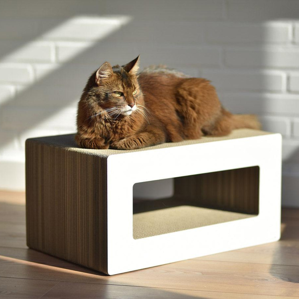 Griffoir pour chat déco - LE LOOP - Kasibe