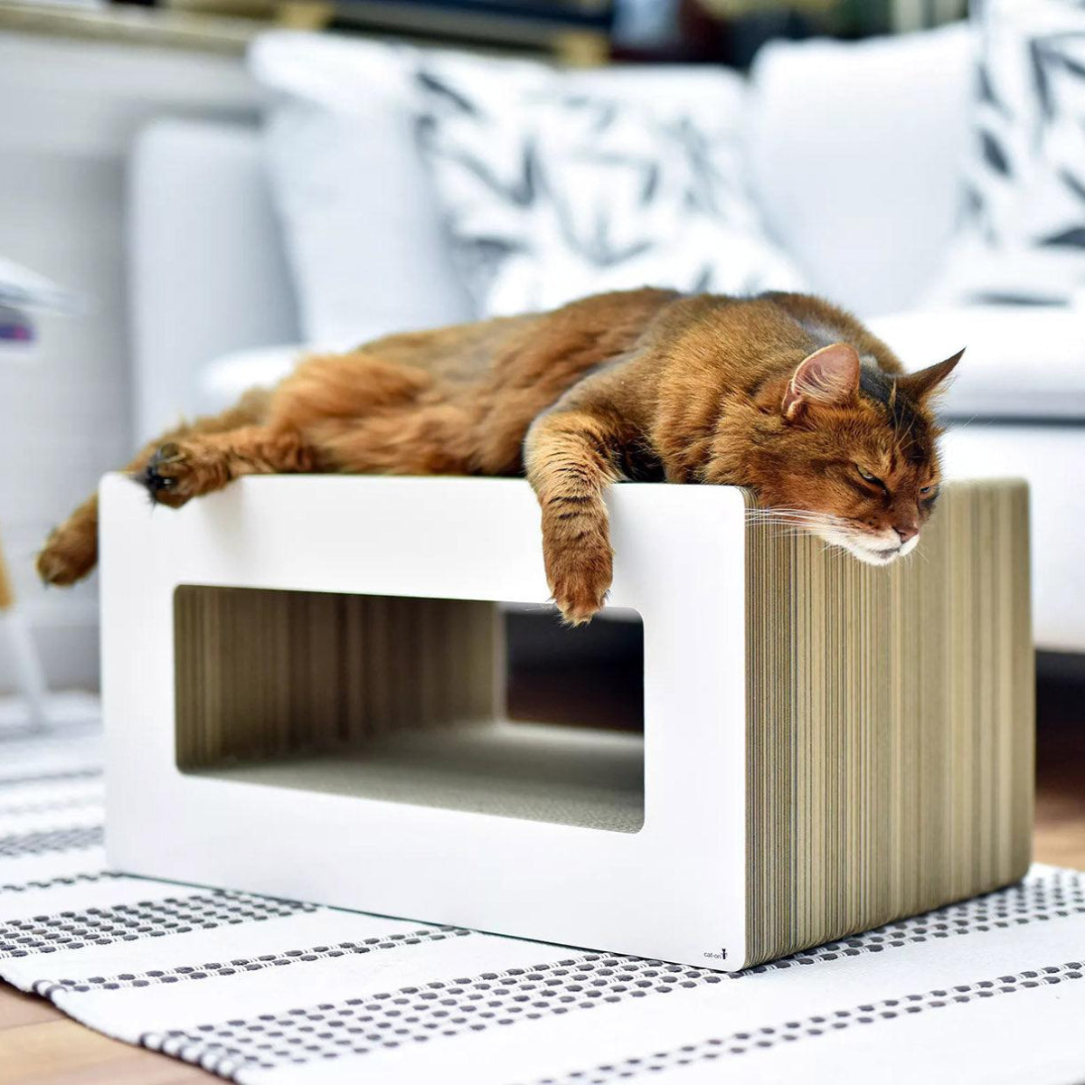 Griffoir pour chat déco - LE LOOP - Kasibe