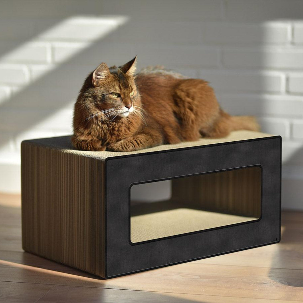 Griffoir pour chat déco - LE LOOP - Kasibe