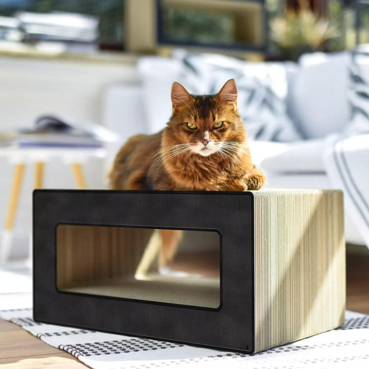 Griffoir pour chat déco - LE LOOP - Kasibe