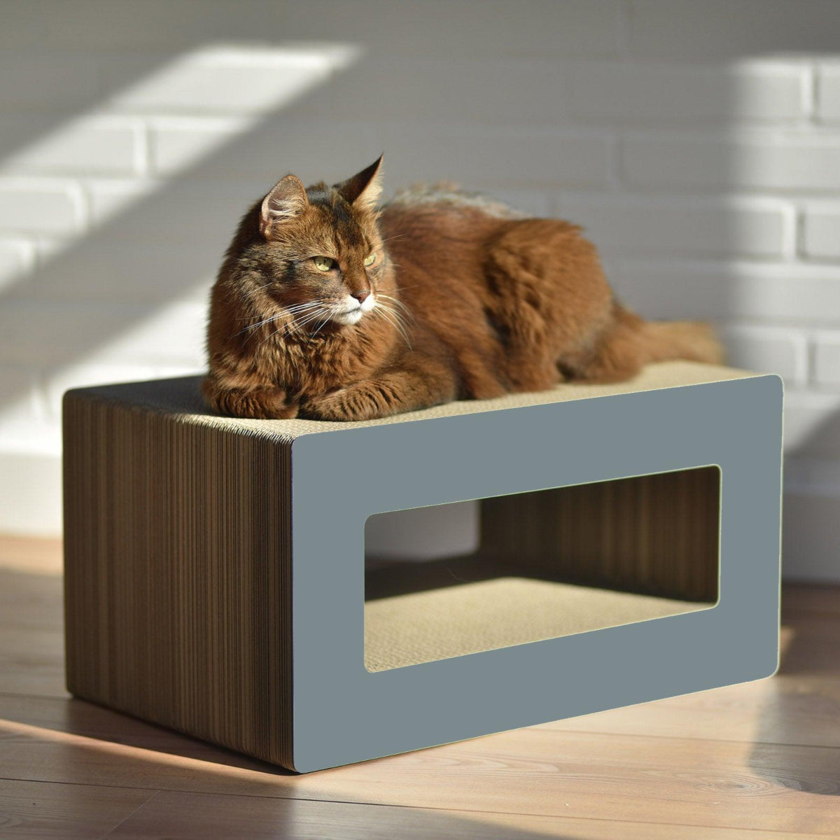 Griffoir pour chat déco - LE LOOP - Kasibe