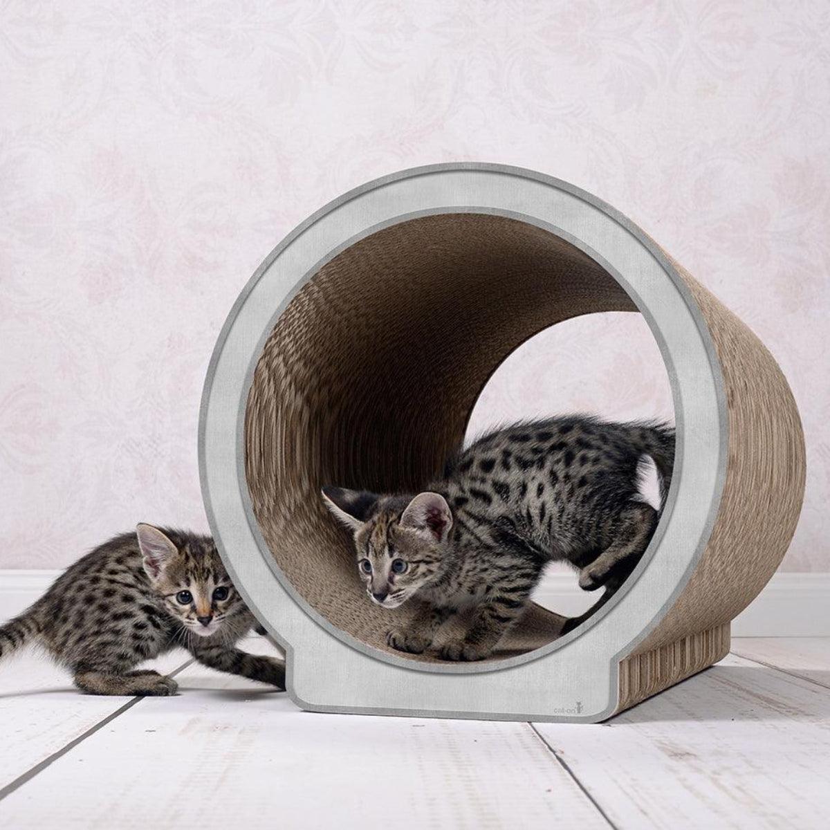 Griffoir pour chat design - LE ROND - Kasibe