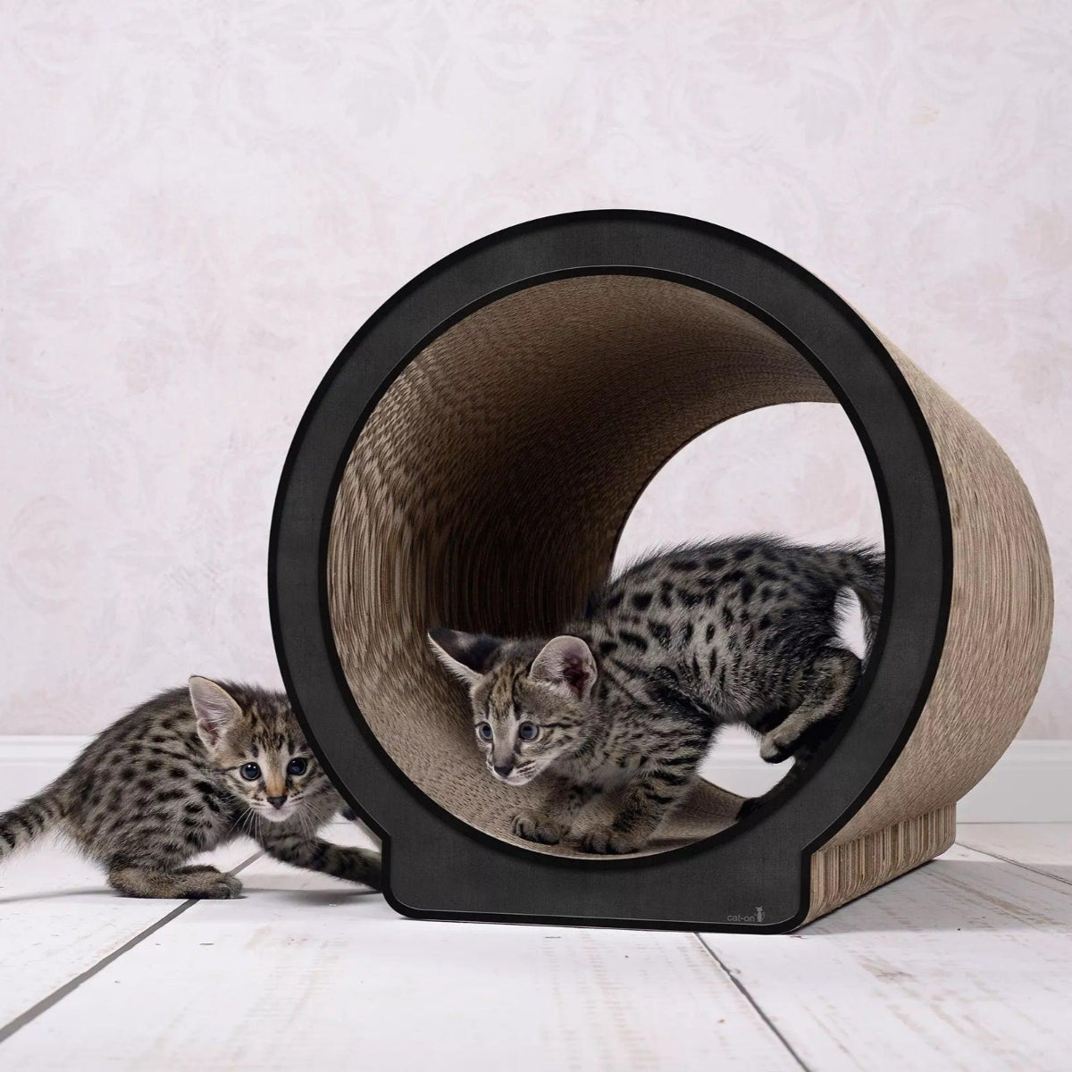 Griffoir pour chat design - LE ROND - Kasibe
